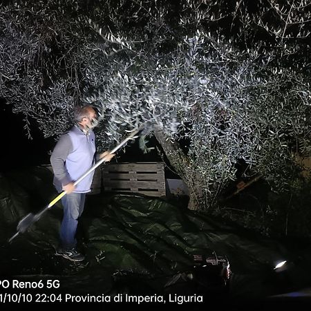Agriturismo Monaci Templari Seborga Eksteriør billede