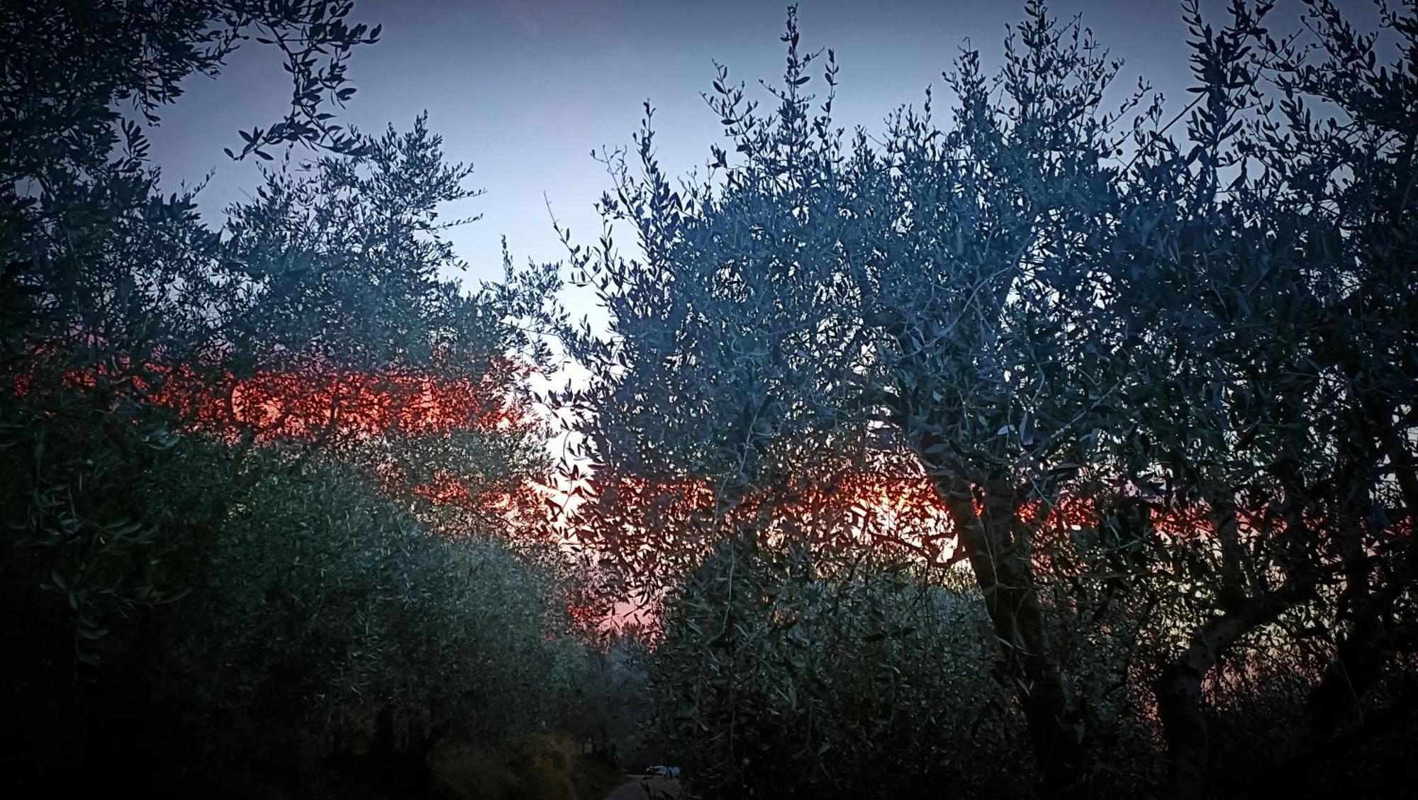 Agriturismo Monaci Templari Seborga Eksteriør billede