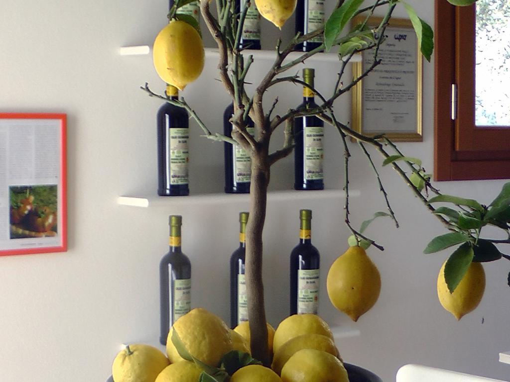 Agriturismo Monaci Templari Seborga Eksteriør billede